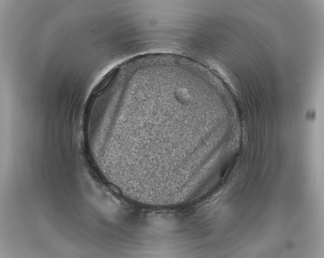 X0000091710532200709141122