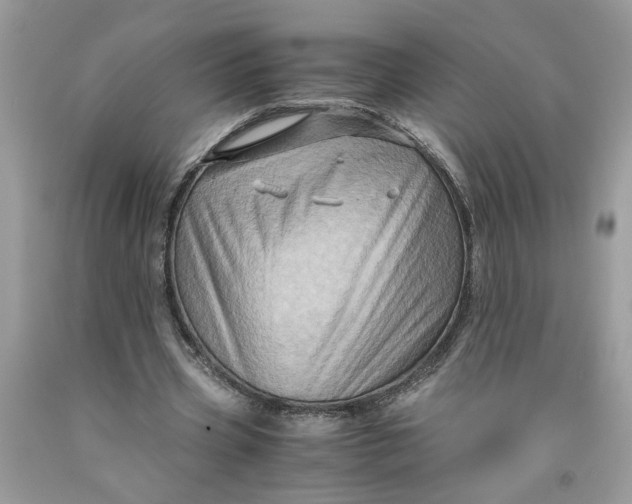 X0000091710533200709141122