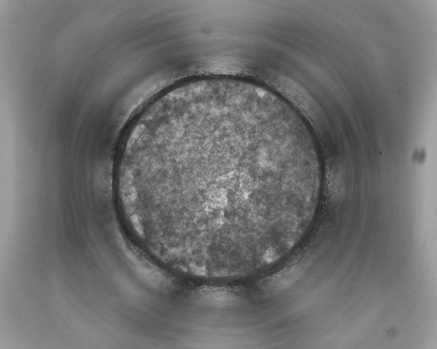 X0000091710534200709141122