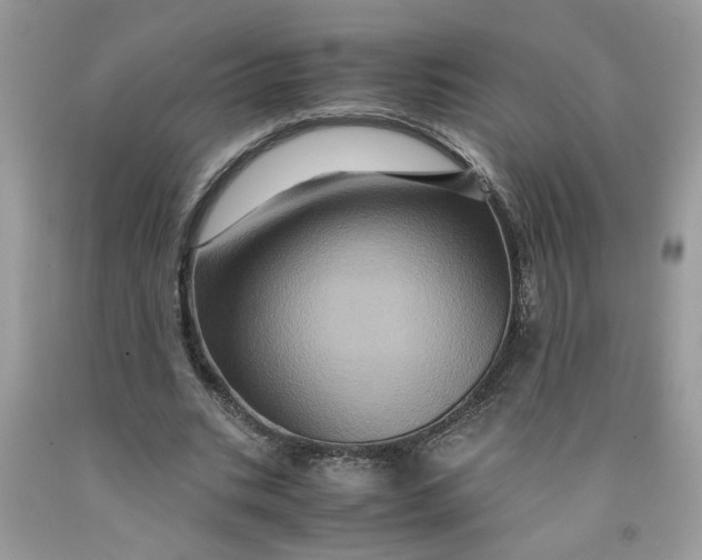 X0000091710535200709141122