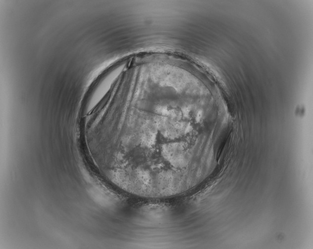 X0000091710536200709141122