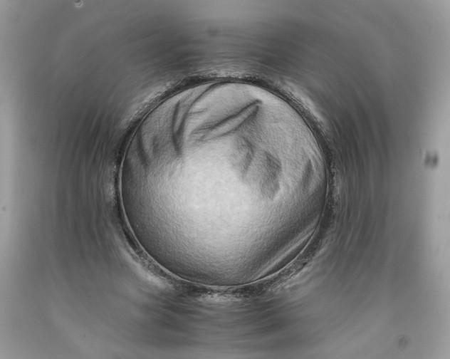 X0000091710537200709141122