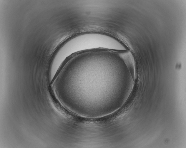 X0000091710538200709141122