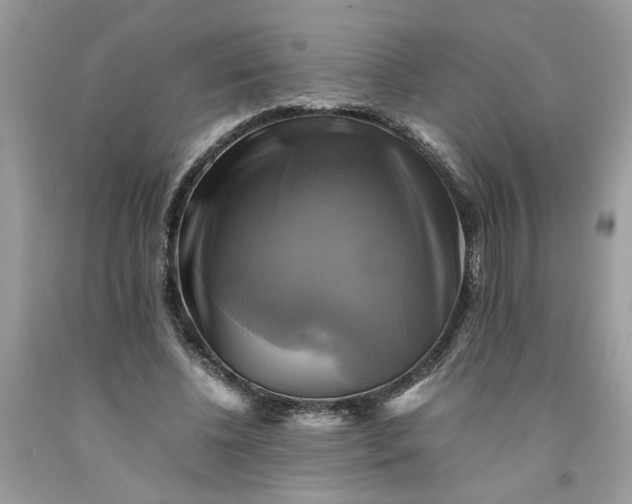 X0000091710540200709141122