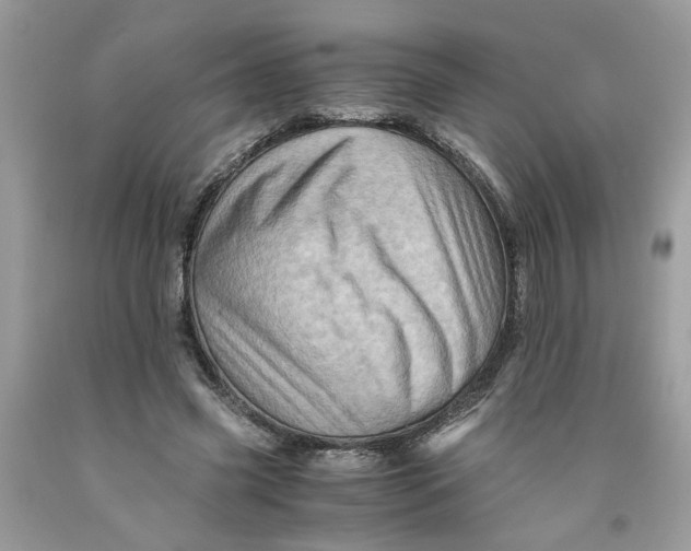 X0000091710541200709141122