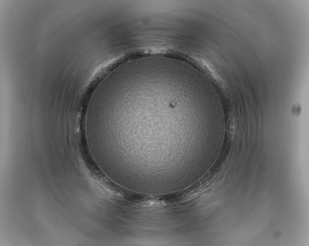 X0000091710543200709141122