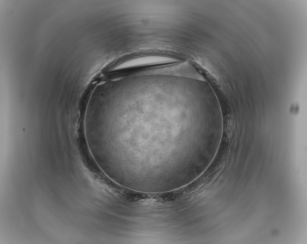 X0000091710544200709141122