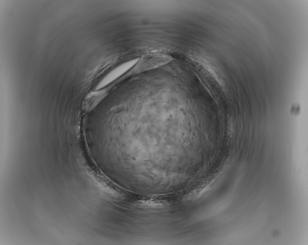 X0000091710545200709141122