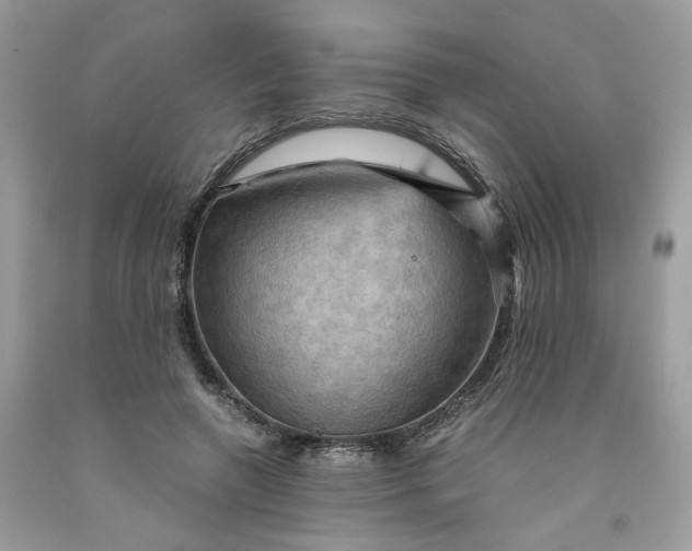 X0000091710546200709141122