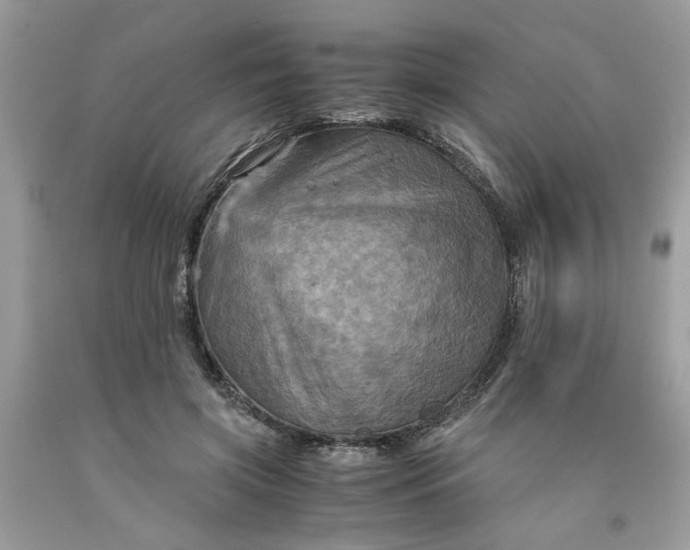 X0000091710549200709141122