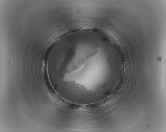 X0000091710550200709141122