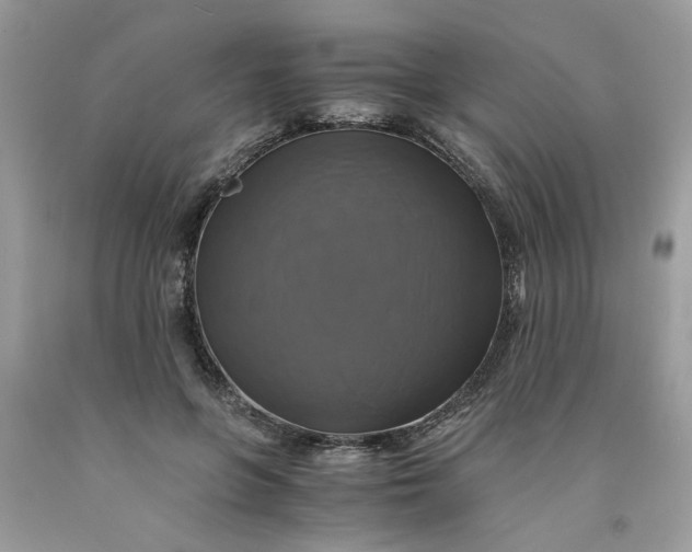 X0000091710551200709141122