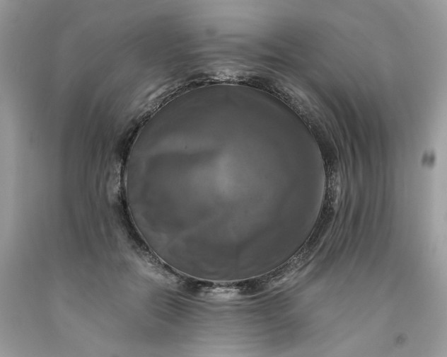 X0000091710554200709141122