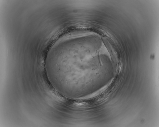 X0000091710557200709141122