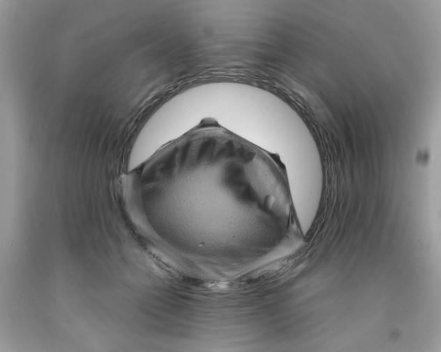 X0000091710558200709141122