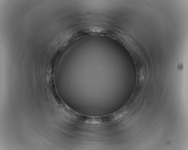 X0000091710559200709141122