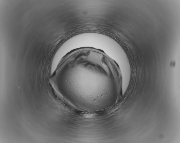 X0000091710560200709141122