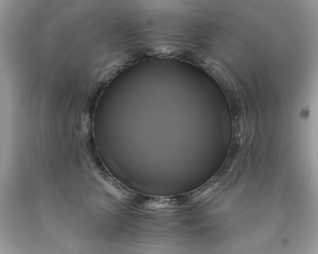 X0000091710563200709141122