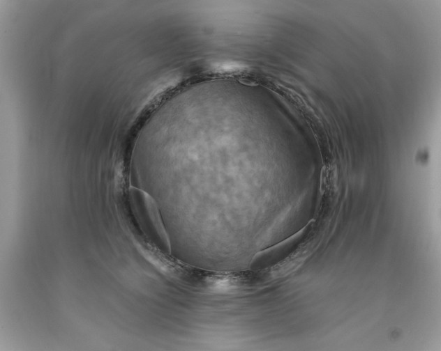 X0000091710564200709141122