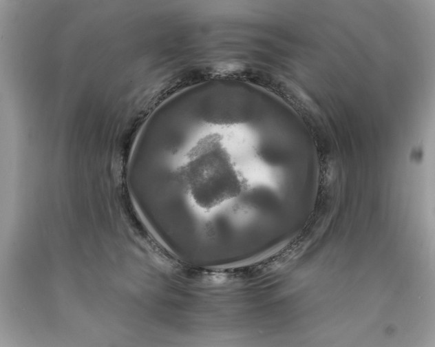 X0000091710565200709141122