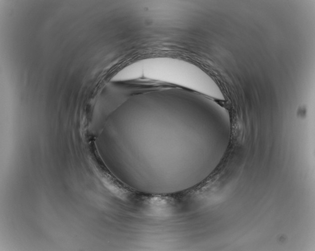 X0000091710566200709141122