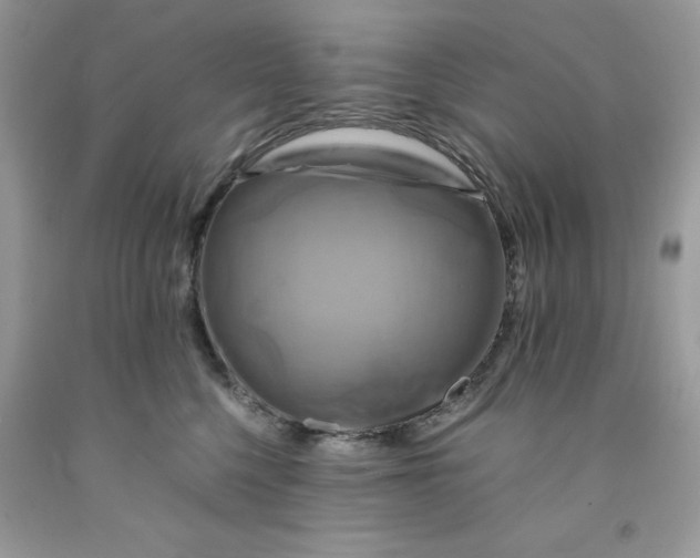 X0000091710568200709141122