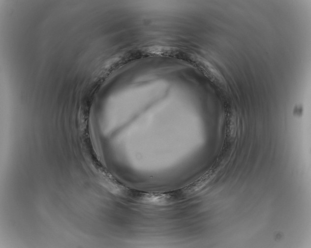 X0000091710569200709141122