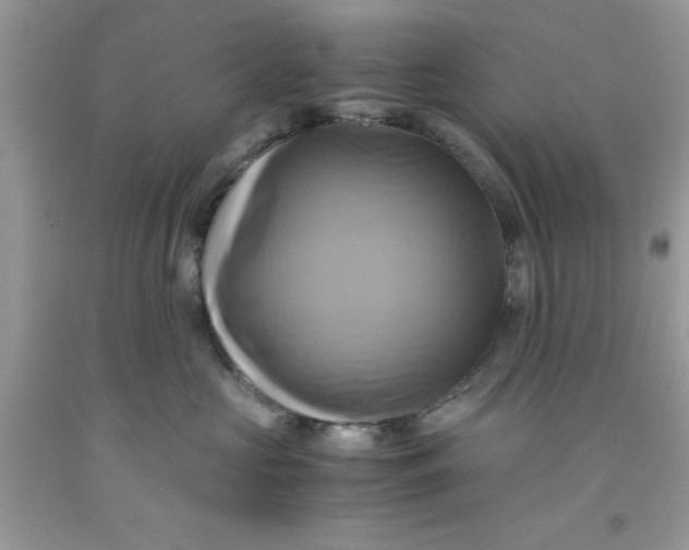 X0000091710573200709141122