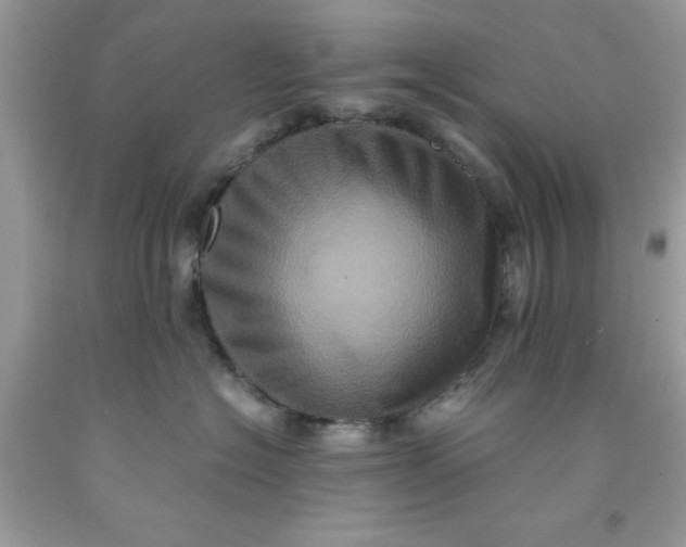 X0000091710574200709141122