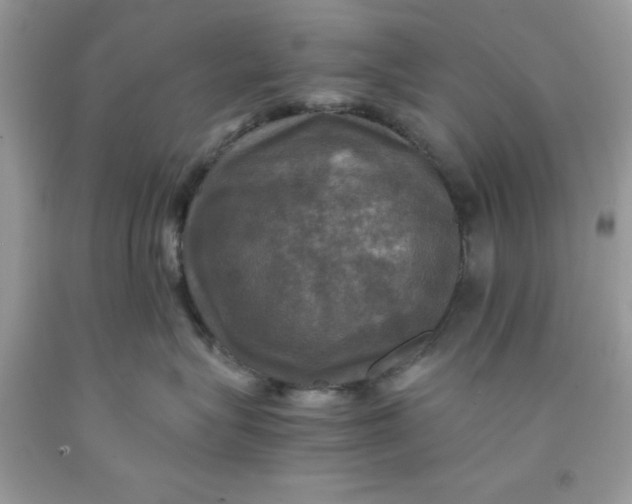 X0000091710575200709141122