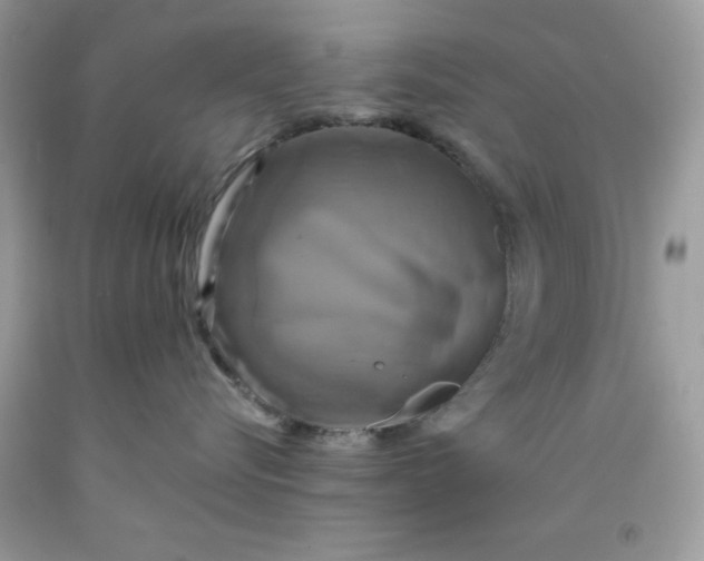 X0000091710576200709141122