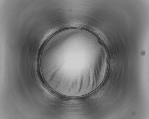 X0000091710578200709141122