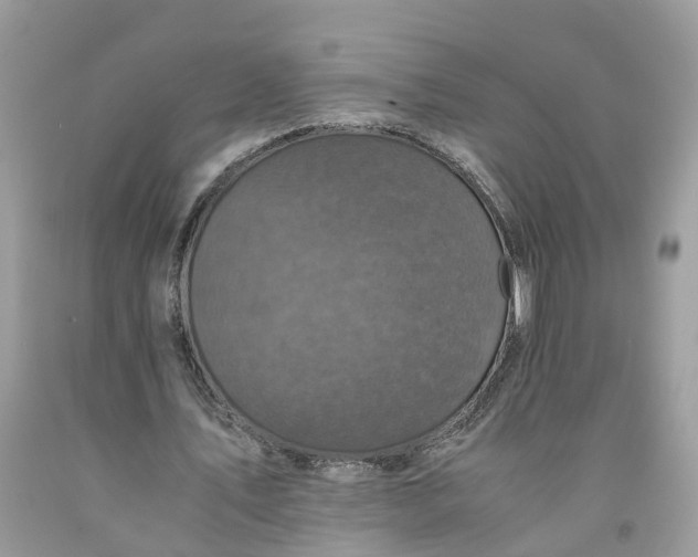 X0000091710579200709141122