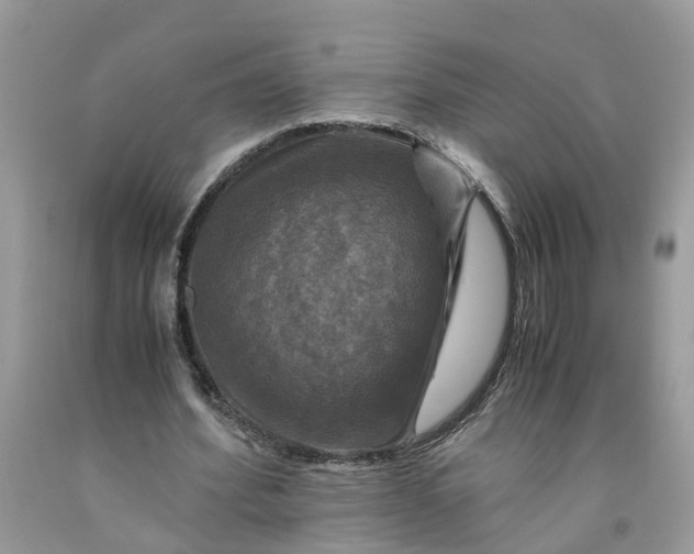 X0000091710580200709141122