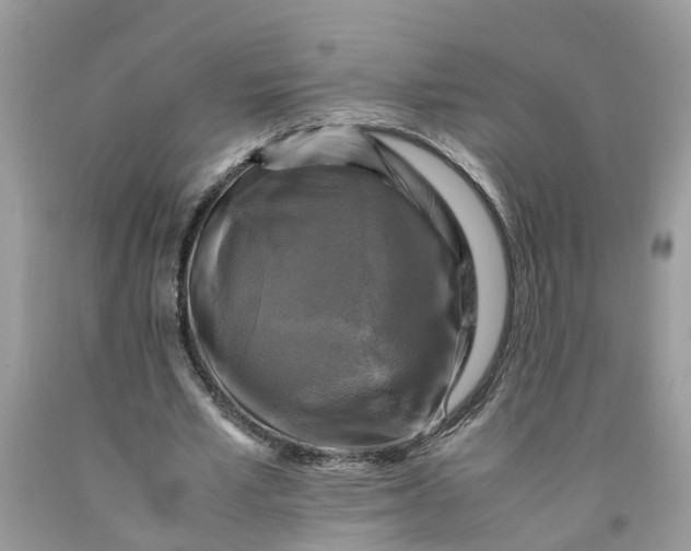 X0000091710581200709141122