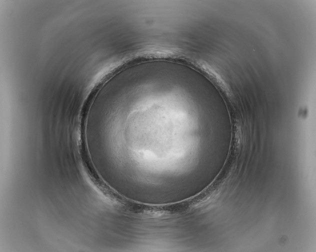 X0000091710582200709141122