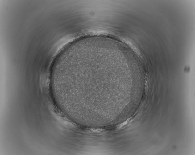 X0000091710583200709141122