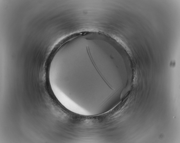 X0000091710584200709141122