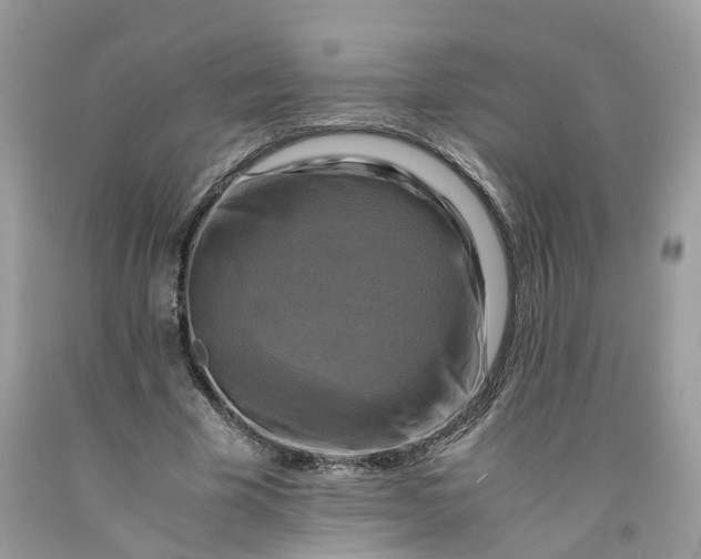 X0000091710585200709141122