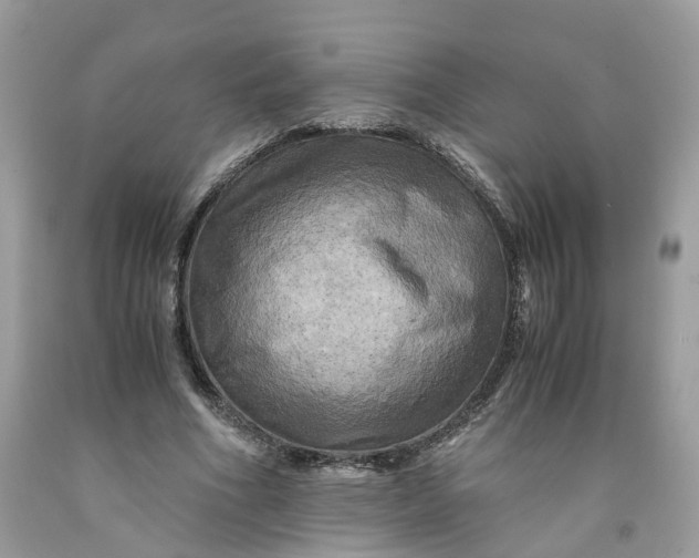 X0000091710586200709141122