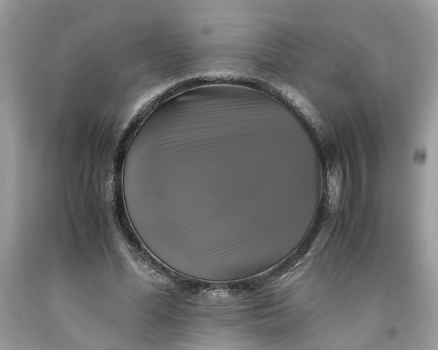 X0000091710588200709141122