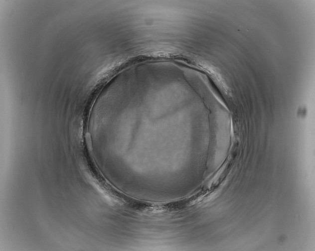 X0000091710589200709141122