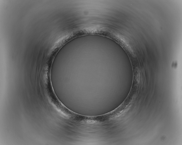 X0000091710590200709141122