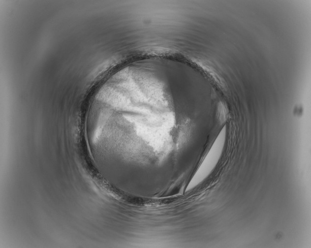 X0000091710591200709141122