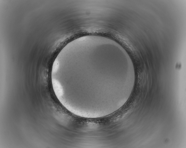 X0000091710592200709141122