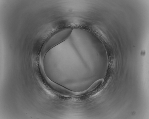 X0000091710593200709141122