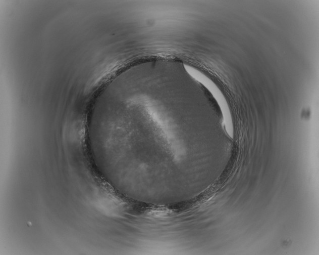 X0000091710595200709141122