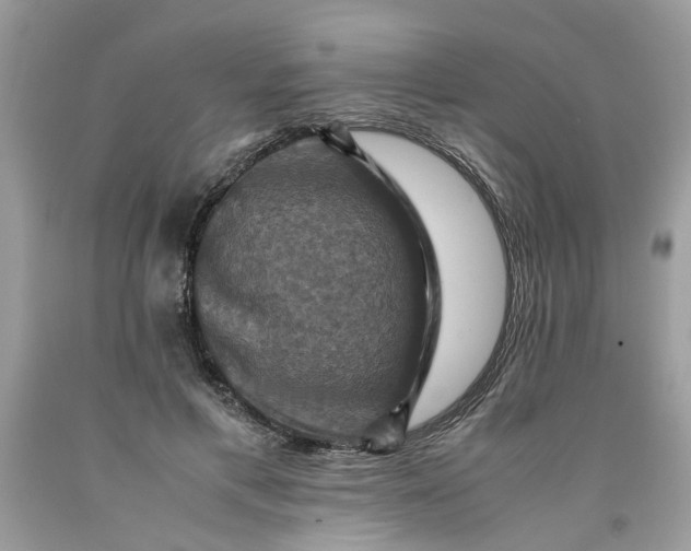 X0000091710597200709141122