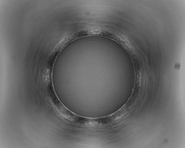 X0000091710598200709141122