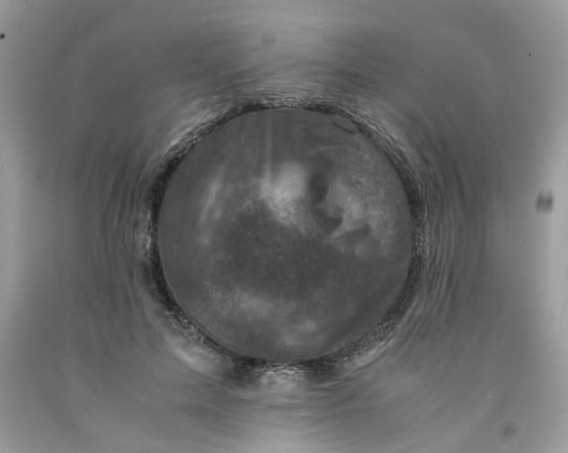 X0000091710599200709141122